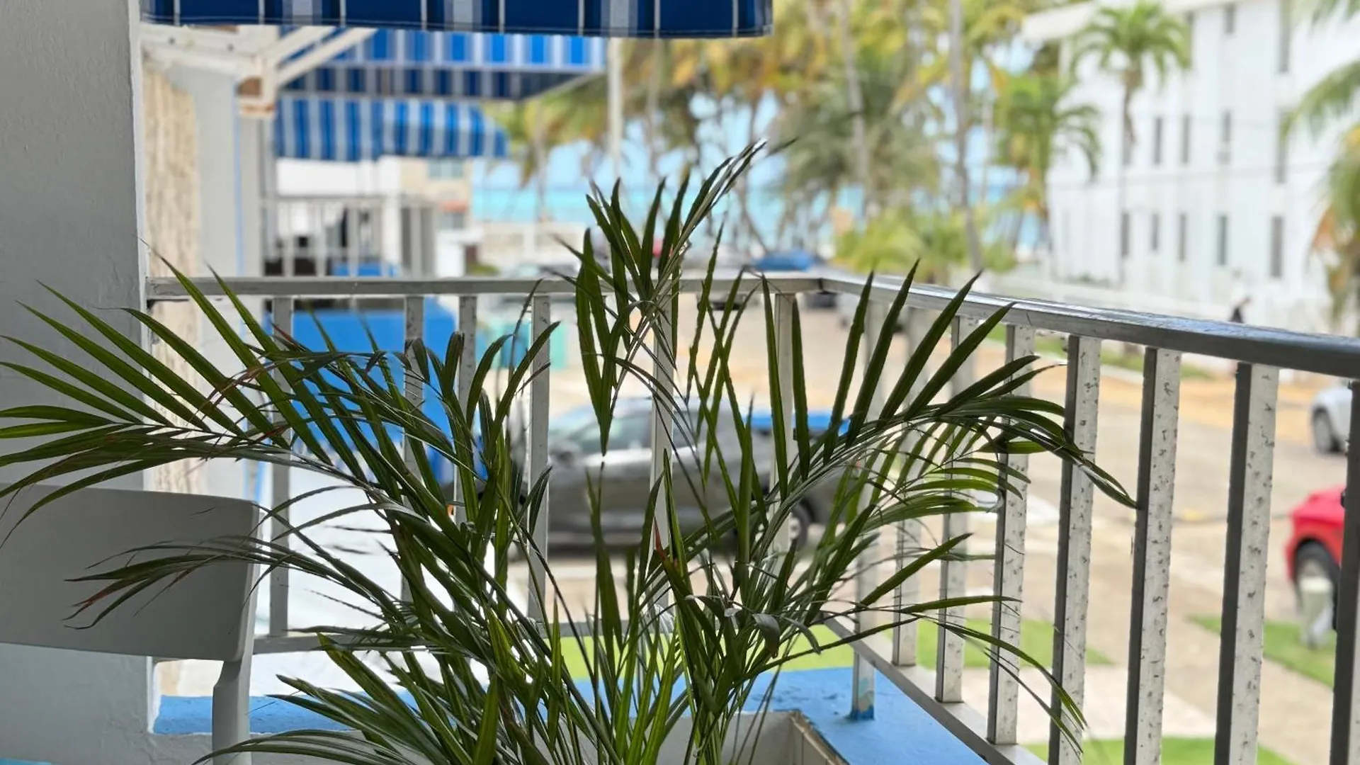 Oceanview Apartment Steps To The Beach Luquillo
