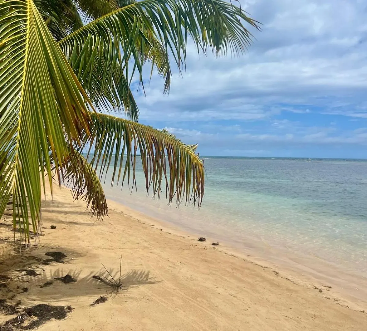 Oceanview Apartment Steps To The Beach Luquillo Puerto Rico